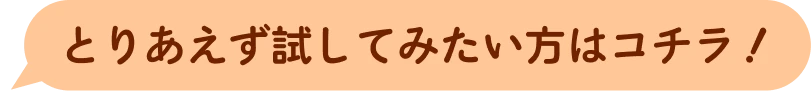 とりあえず試してみたい方はコチラ！